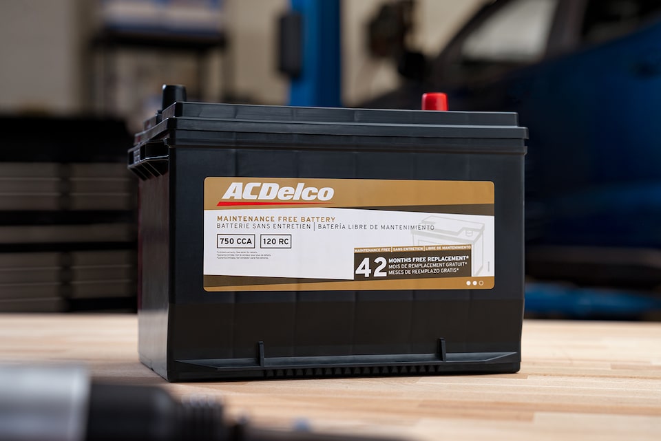 ACDelco Gold Battery